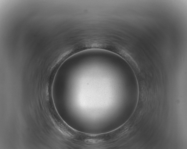 X0000081450251200701191721