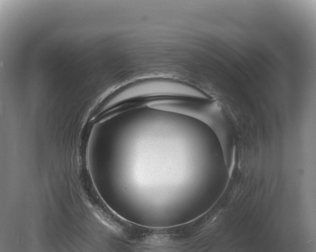 X0000081450252200701191721