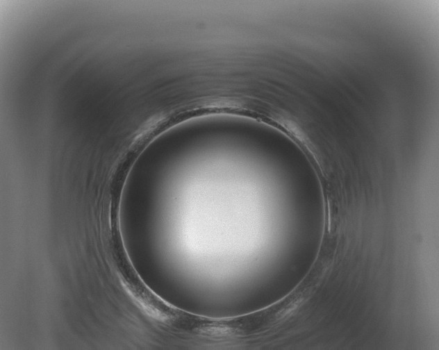 X0000081450253200701191721