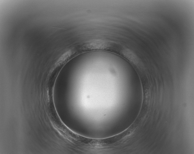 X0000081450254200701191721