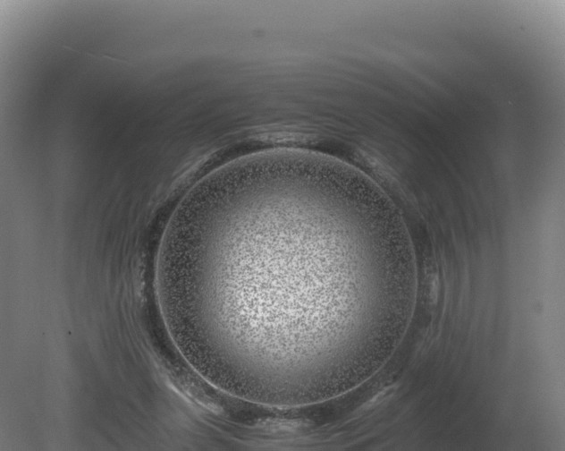 X0000081450255200701191721