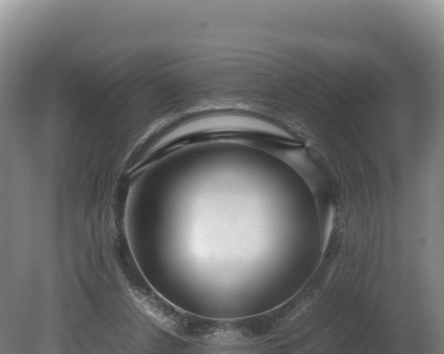 X0000081450256200701191721