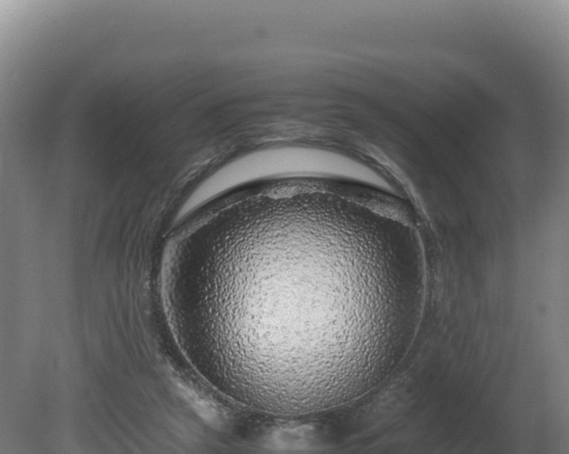 X0000081450257200701191721