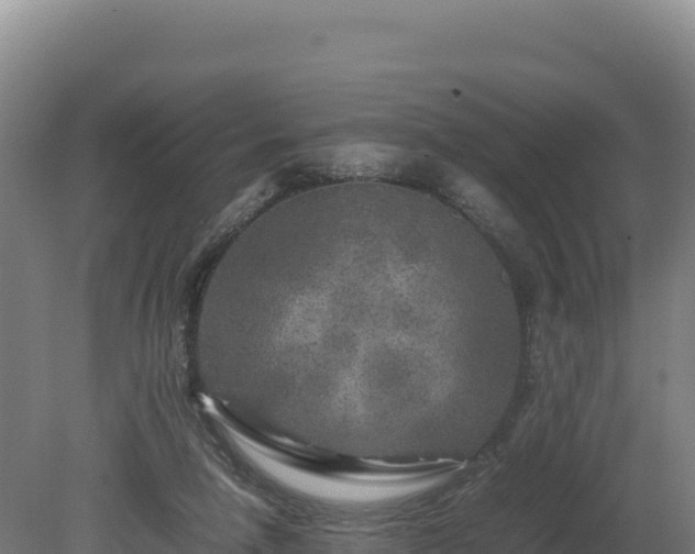 X0000081450258200701191721