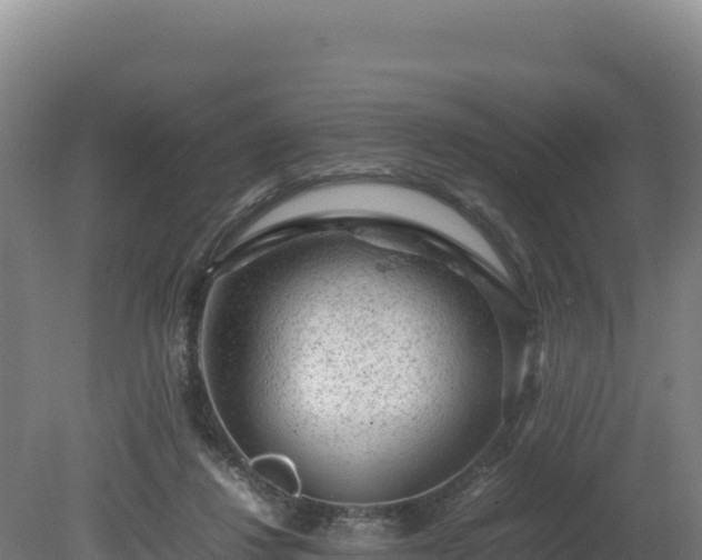 X0000081450260200701191721