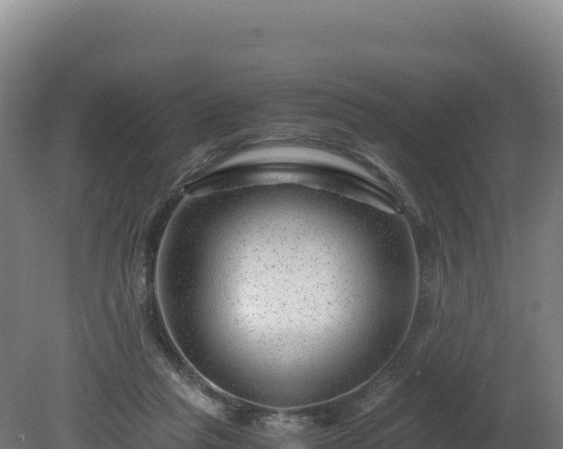 X0000081450261200701191721