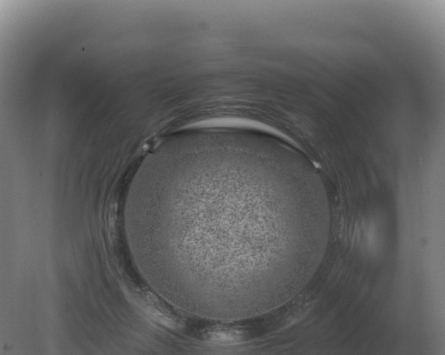 X0000081450263200701191721