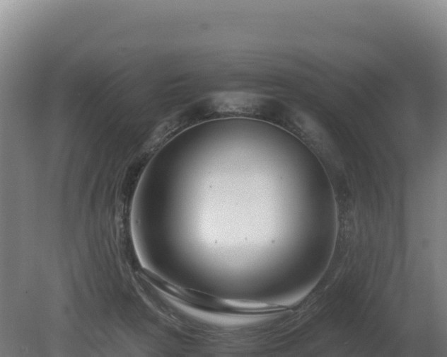 X0000081450265200701191721