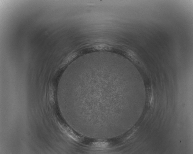 X0000081450266200701191721