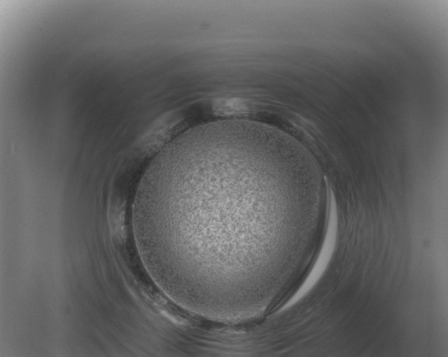 X0000081450267200701191721