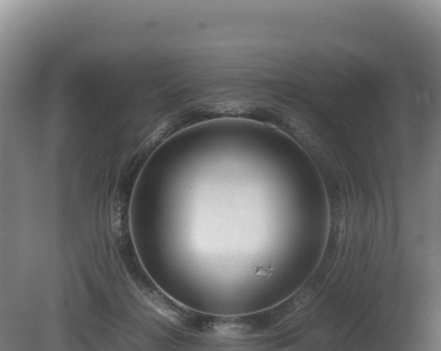 X0000081450268200701191721