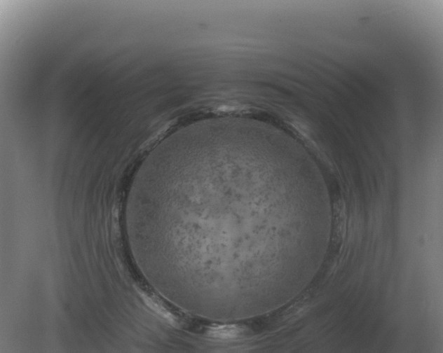 X0000081450269200701191721