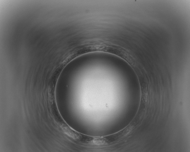 X0000081450270200701191721