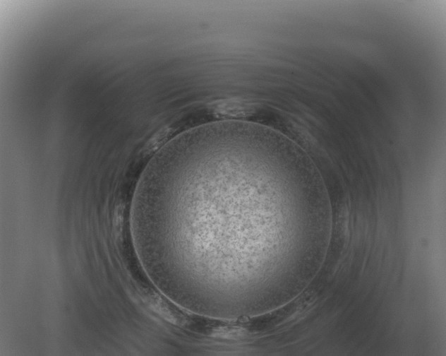 X0000081450271200701191721