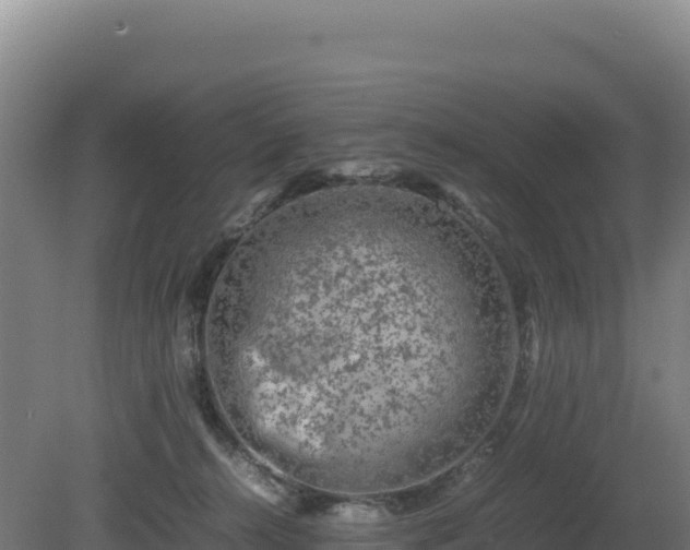 X0000081450272200701191721