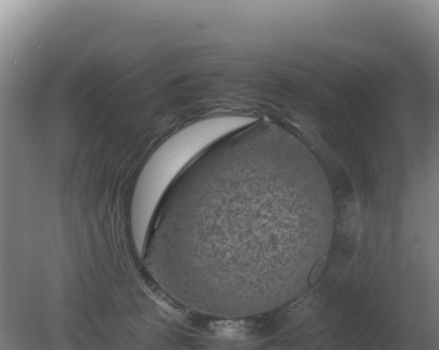 X0000081450273200701191721