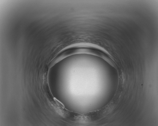 X0000081450276200701191722