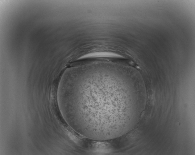 X0000081450277200701191722