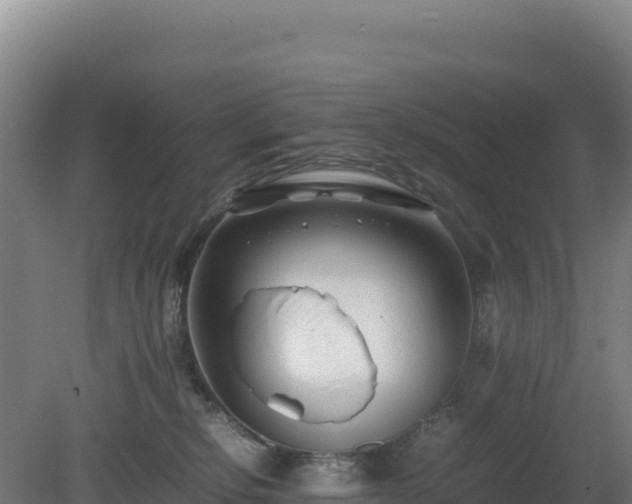 X0000081450278200701191722