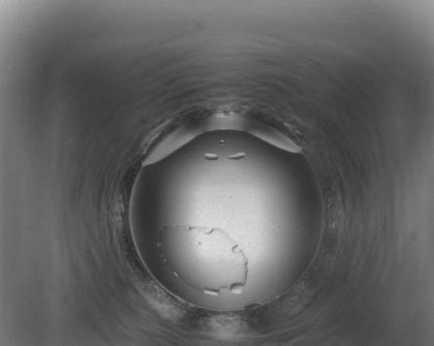 X0000081450279200701191722