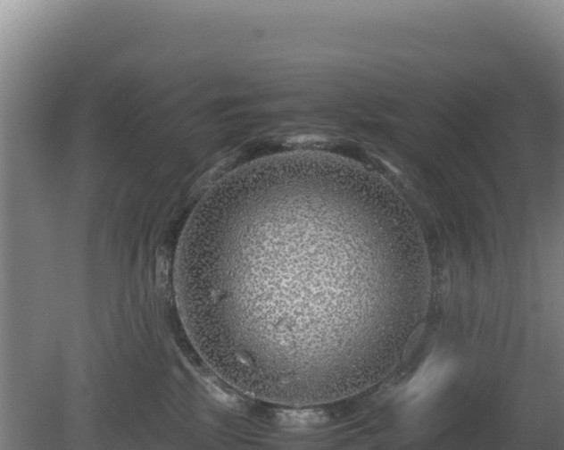 X0000081450281200701191722