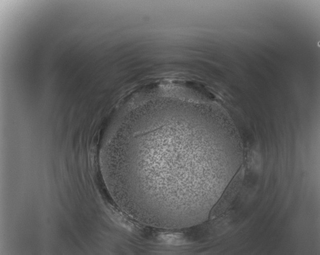 X0000081450283200701191722