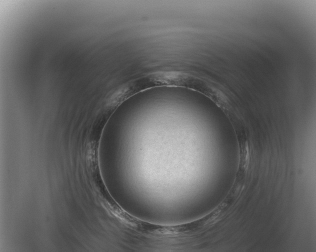 X0000081450284200701191722