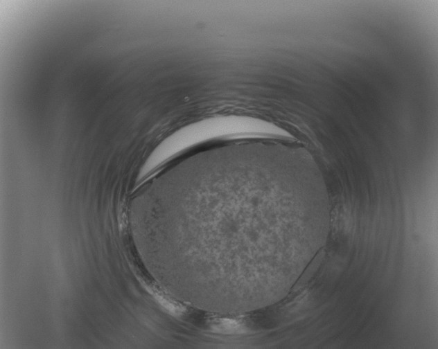 X0000081450285200701191722