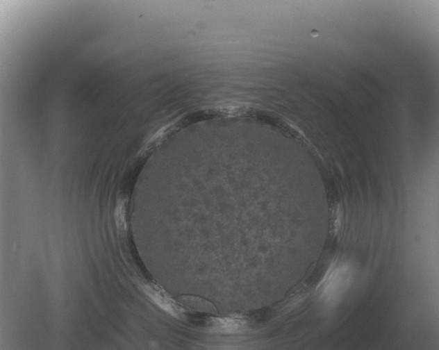 X0000081450286200701191722