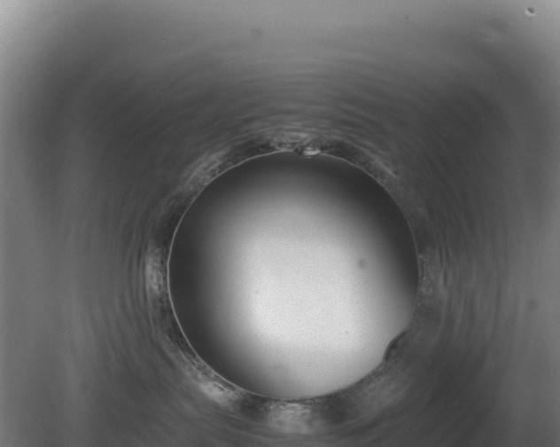 X0000081450287200701191722