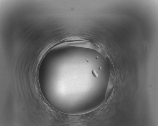 X0000081450289200701191721