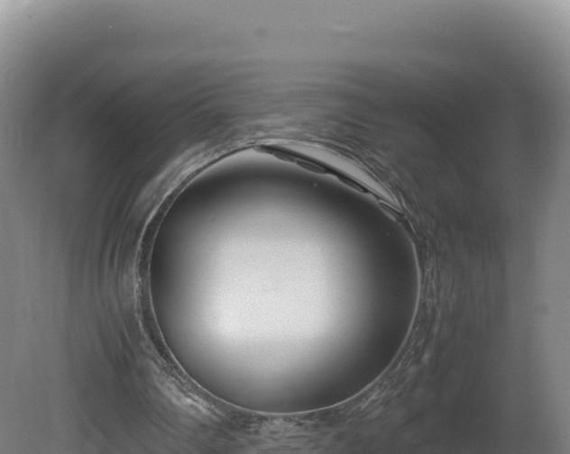 X0000081450290200701191721