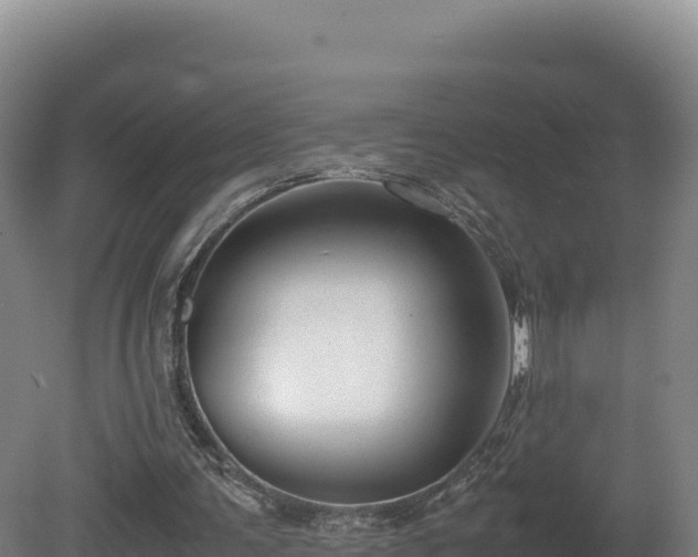 X0000081450291200701191721