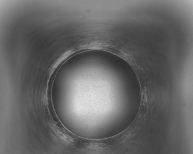 X0000081450292200701191721