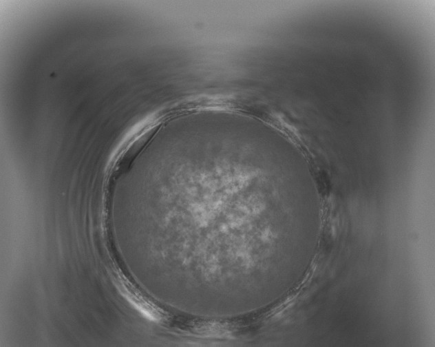 X0000081450293200701191721