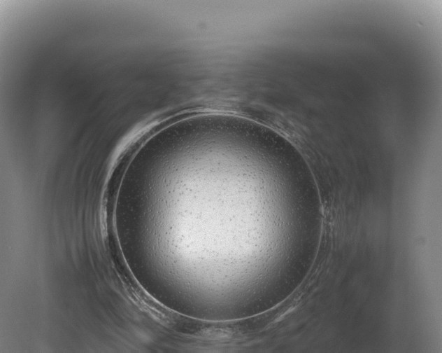 X0000081450294200701191721