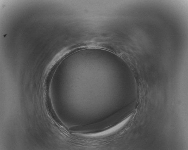 X0000081450295200701191721