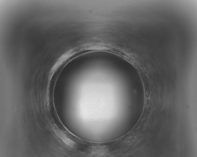 X0000081450296200701191721