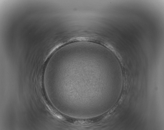 X0000081450297200701191721