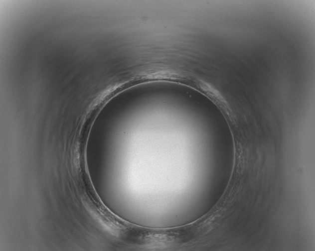 X0000081450298200701191721