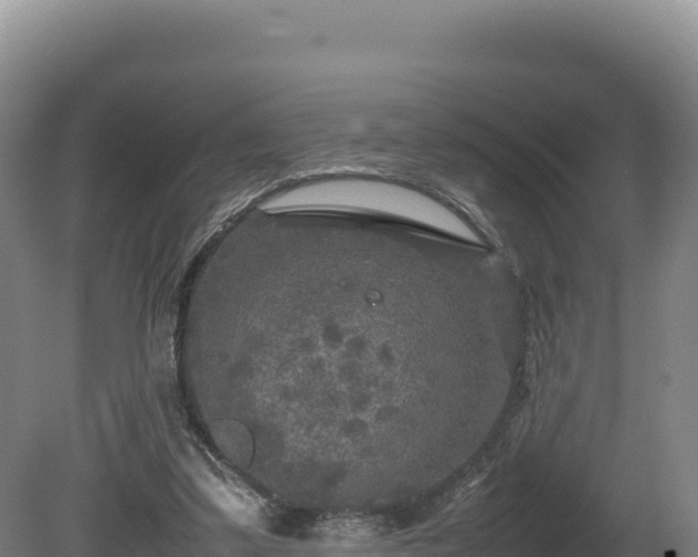 X0000081450299200701191721