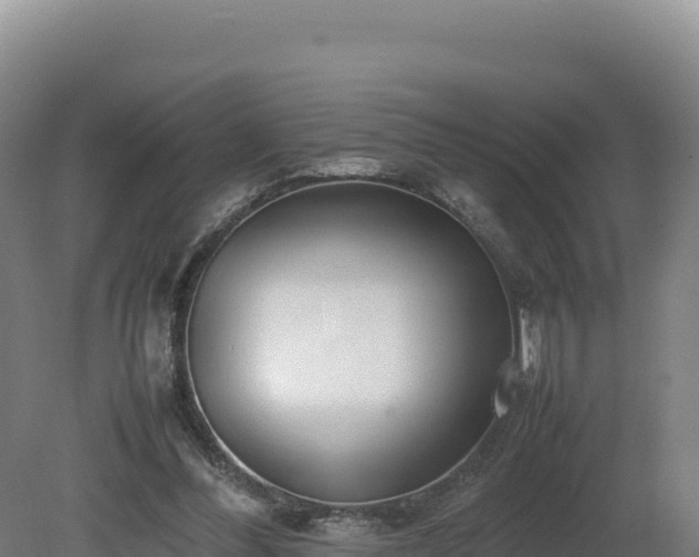 X0000081450300200701191721