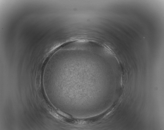 X0000081450301200701191721