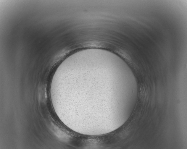 X0000081450302200701191721