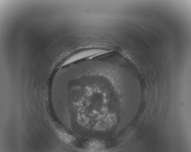 X0000081450303200701191721