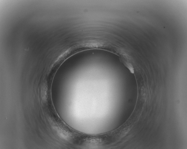 X0000081450304200701191721