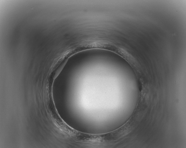 X0000081450306200701191721