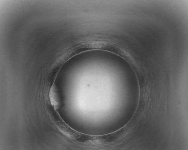 X0000081450307200701191721