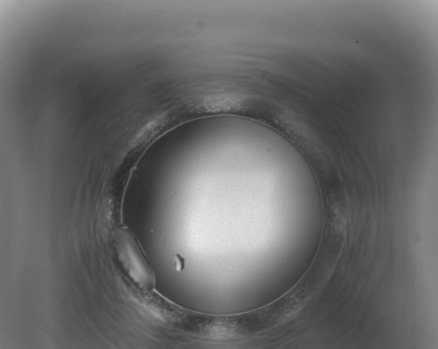 X0000081450308200701191721