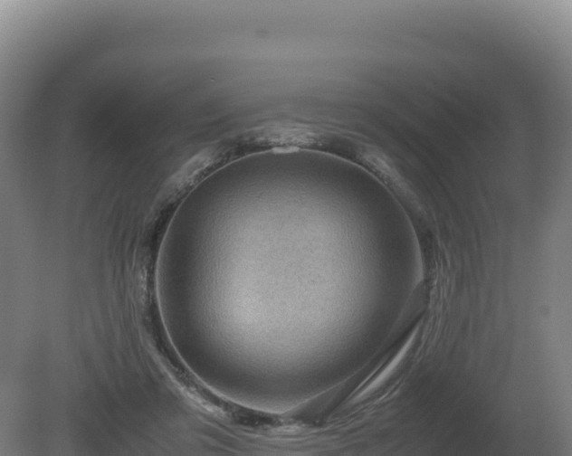 X0000081450309200701191721